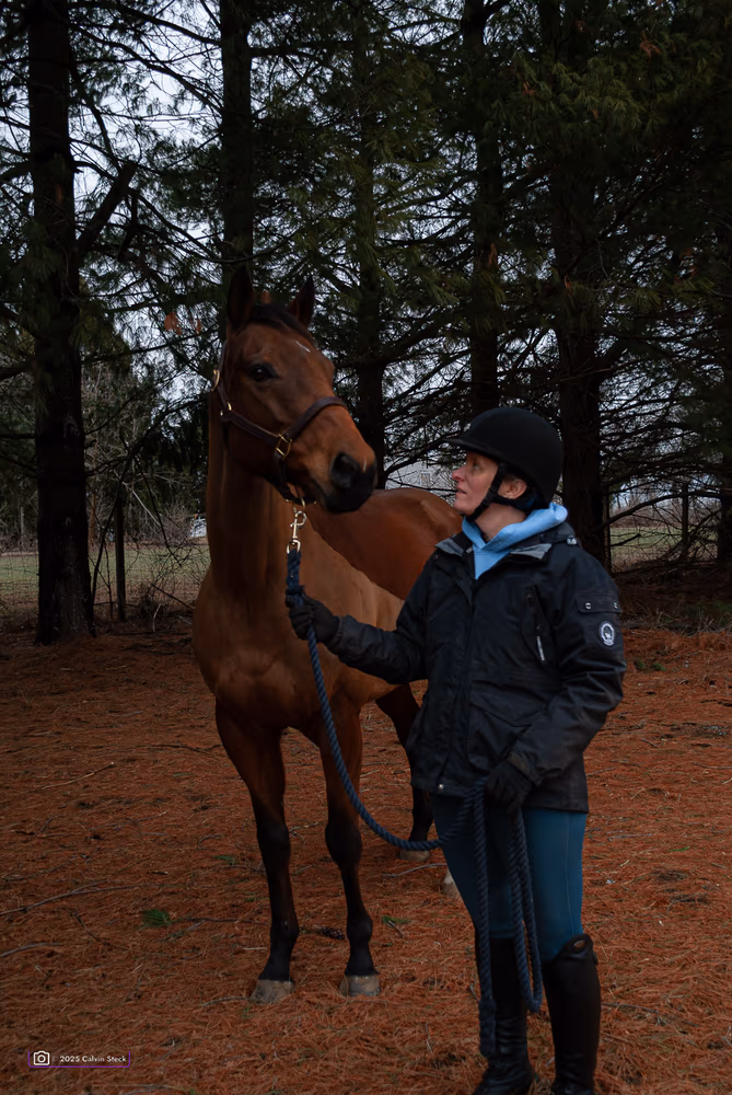 Horse & Rider